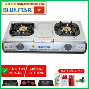 Bếp Gas Bluestar NS-290F/S Chính Hãng